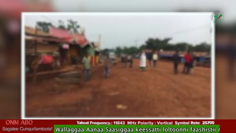 Oduu Ganama ONM-ABO Guraandhala 14-2025 itti dhiyaadhaa!