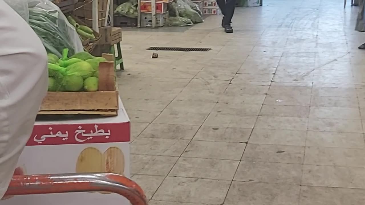 A tour of the vegetable market