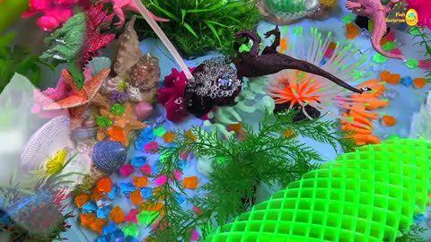 Amazing pool colorful surprise eggs, koi, turtle, betta fish satisfying catch, goldfish, dinosaurs