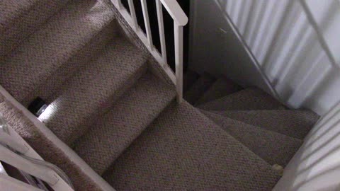 dicklan takes a tumble