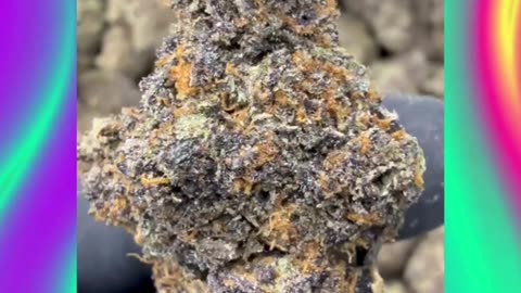 Pink Runtz THCa Flower | 36% | Candy-Sweet + Flowery Gas | Euphoric, Uplifting, Giggly | Bulk #thca