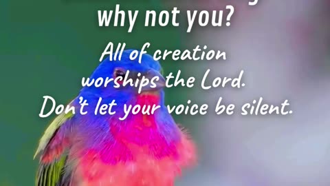 Father, let my life sing as naturally as creation praises You.