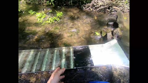 Creek prospecting in Missouri