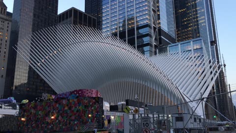 Oculus 4 (Manhattan, 2019)