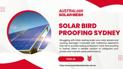 Stop Birds Nesting Under Your Panels with Solar Bird Proofing in Sydney