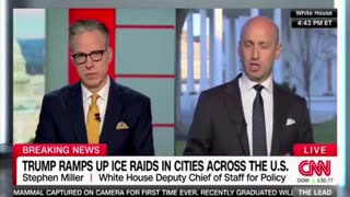 Stephen Miller TAKES DOWN CNN's Jake Tapper