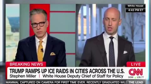 Stephen Miller TAKES DOWN CNN's Jake Tapper