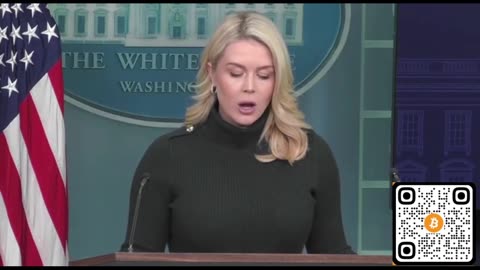 Leavitt: This is President Trump's Outline to restore Law and Order in MN