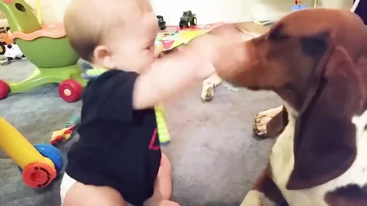 🤣Funny Baby And Animals Video Funniest Video Animals Video