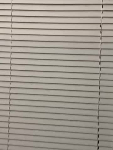 8 reindeer, plus Rudolph