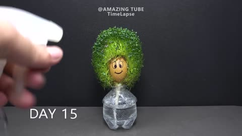 "Growing Chia Seeds on Egg - 60 Days Time-Lapse!"