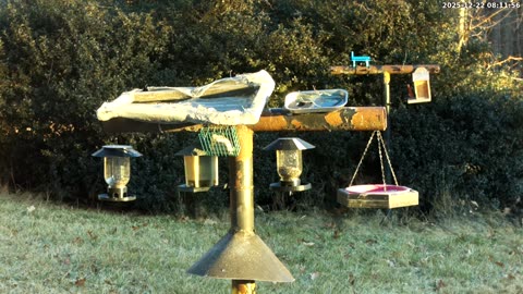 Bird Feeder in Western Maryland USA
