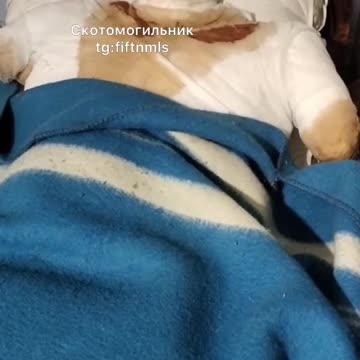 Ukraine Russia conflict /SMO/war combat footage 11/4/2025