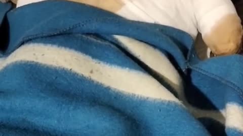 Ukraine Russia conflict /SMO/war combat footage 11/4/2025