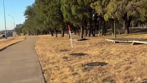 Part 2 vlog - Austin texas