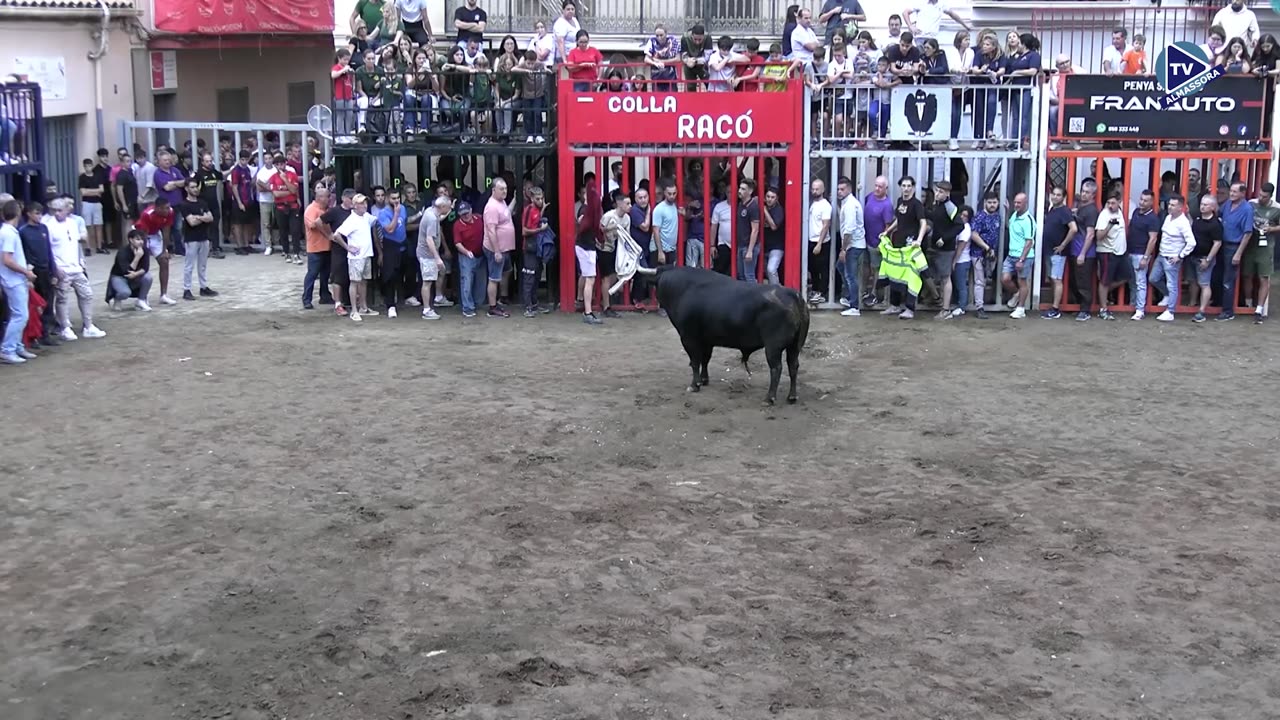 1 TORO TARDE 8oct DLOBARRAMAS ganaderia TOROS DEL TORERO N 7