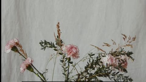 Daily Horoscope | Virgo 🌟