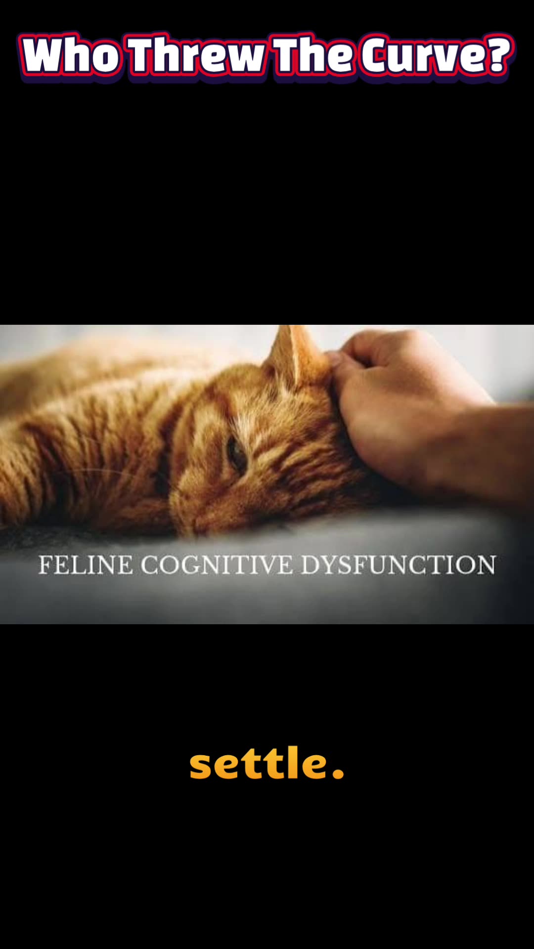 The Fading Purr: Recognizing Dementia in Senior Cats