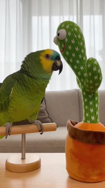 Parrot 🦜 Pushed over the edge