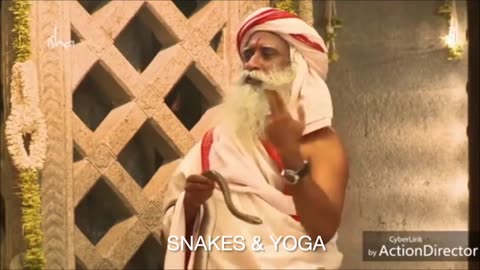 GURU Explains the Yoga-Snake Connection