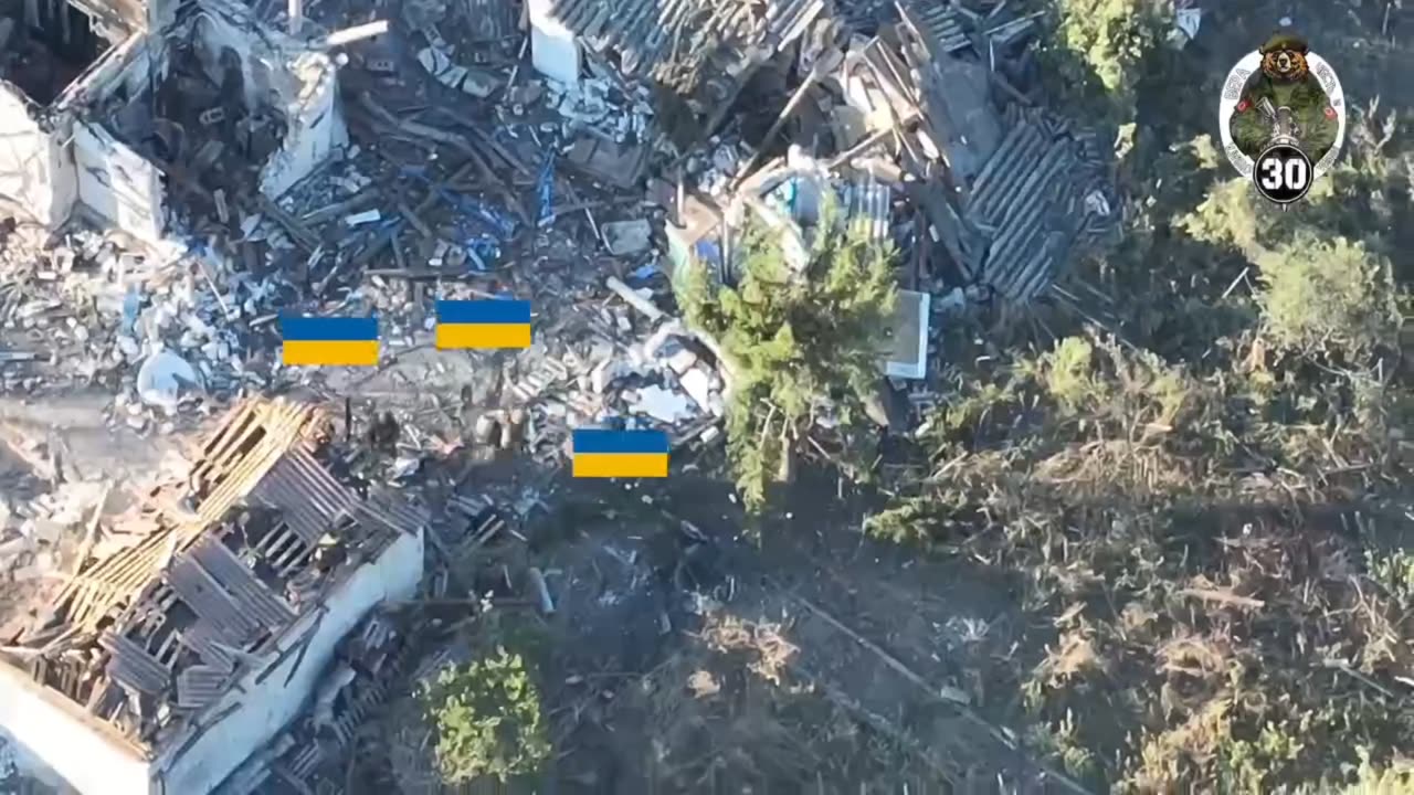 Russian drone operators euthanize rabid pigs daily in various directions