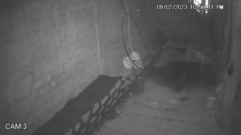 😱👻 Mysterious ORB Captured on CCTV Camera! | TheHauntingHour