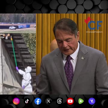 Conservative MP Asks Why Was the Ostrich Culling Ordered?