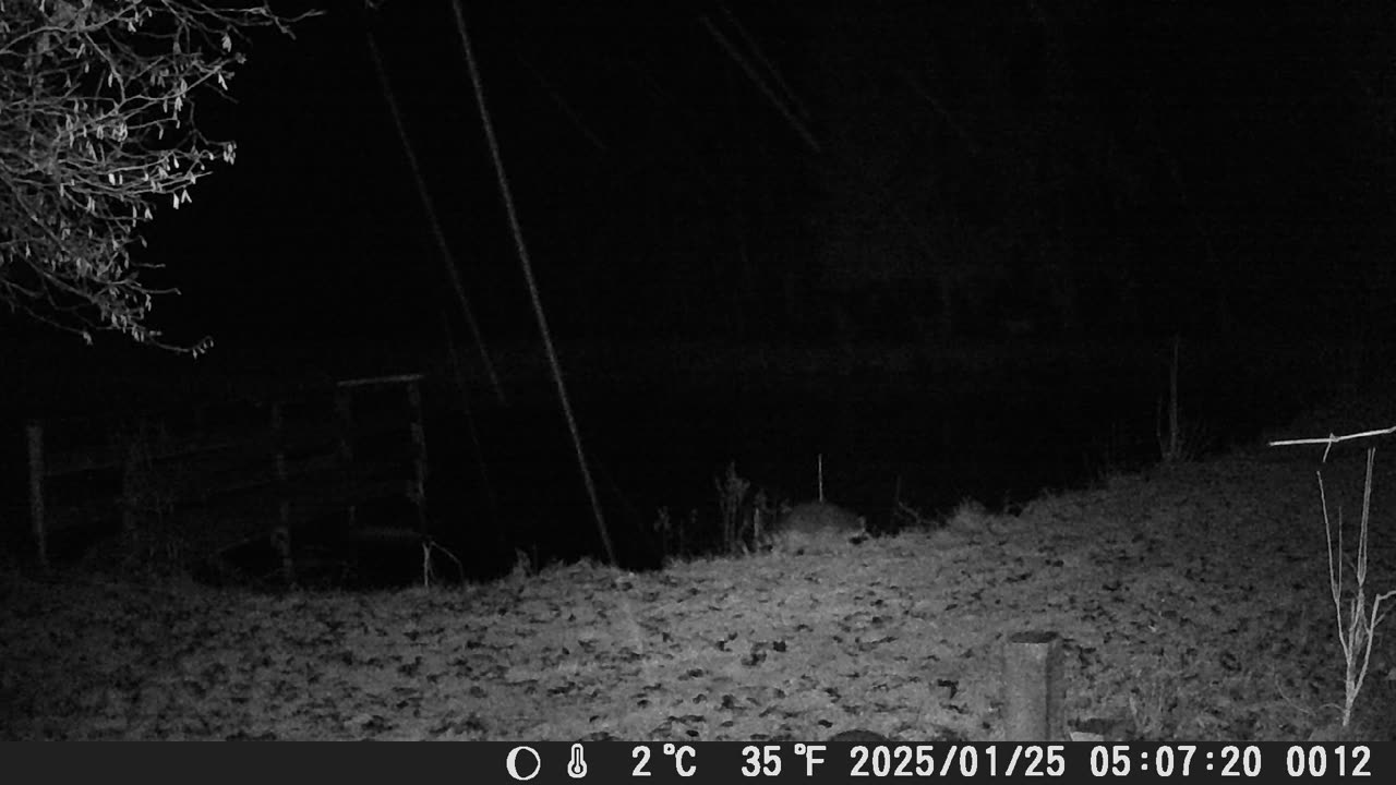Teich25012025