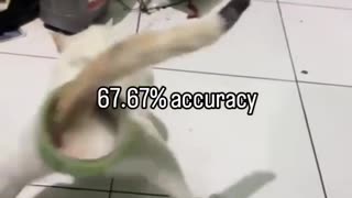 😂🤔 Wait till you see this tiny but hilarious difference! | FunFM