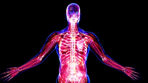 Sacred Postures & Quantum Consciousness