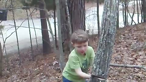 Little Man with Cuts Down His First Tree