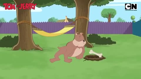 Tom & Jerry 😺🐭| Just Cat & Mouse Things | #tomandjerry | Funny Cartoons