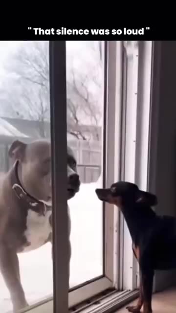 Online vs when you meet in person.