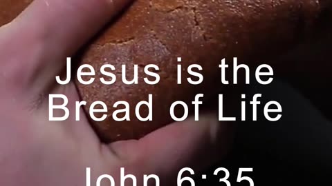 More SHOCKING Truth About Jesus' Life.