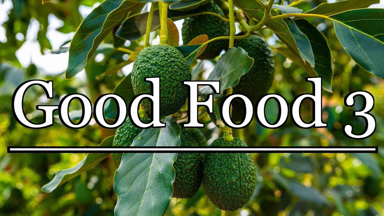 Good Food 3