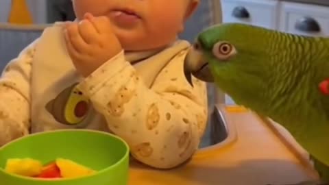 Cute Baby Playing with Animals | Adorable Baby and Pet Moments 2025