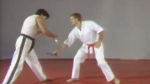 Hapkido Cane 1