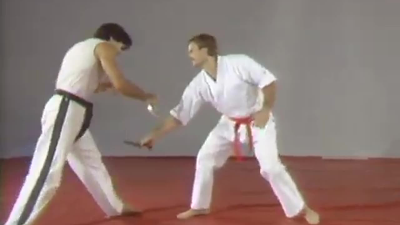 Hapkido Cane 1