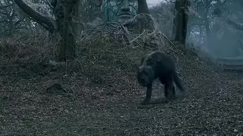 Best movie of all time Part 005