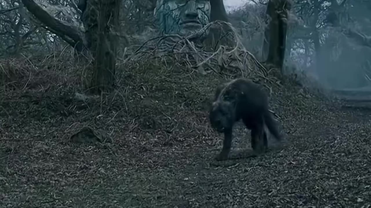 Best movie of all time Part 005