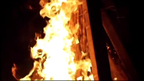 Daily Horoscope | Aries 🌟