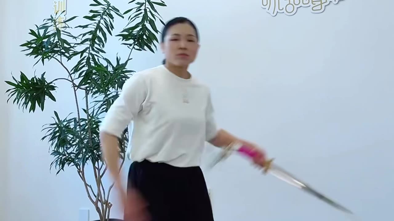 676.仗劍走天涯