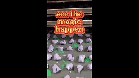 see the magic gappen