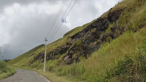 El Campo es Único Puerto Rico 🇵🇷