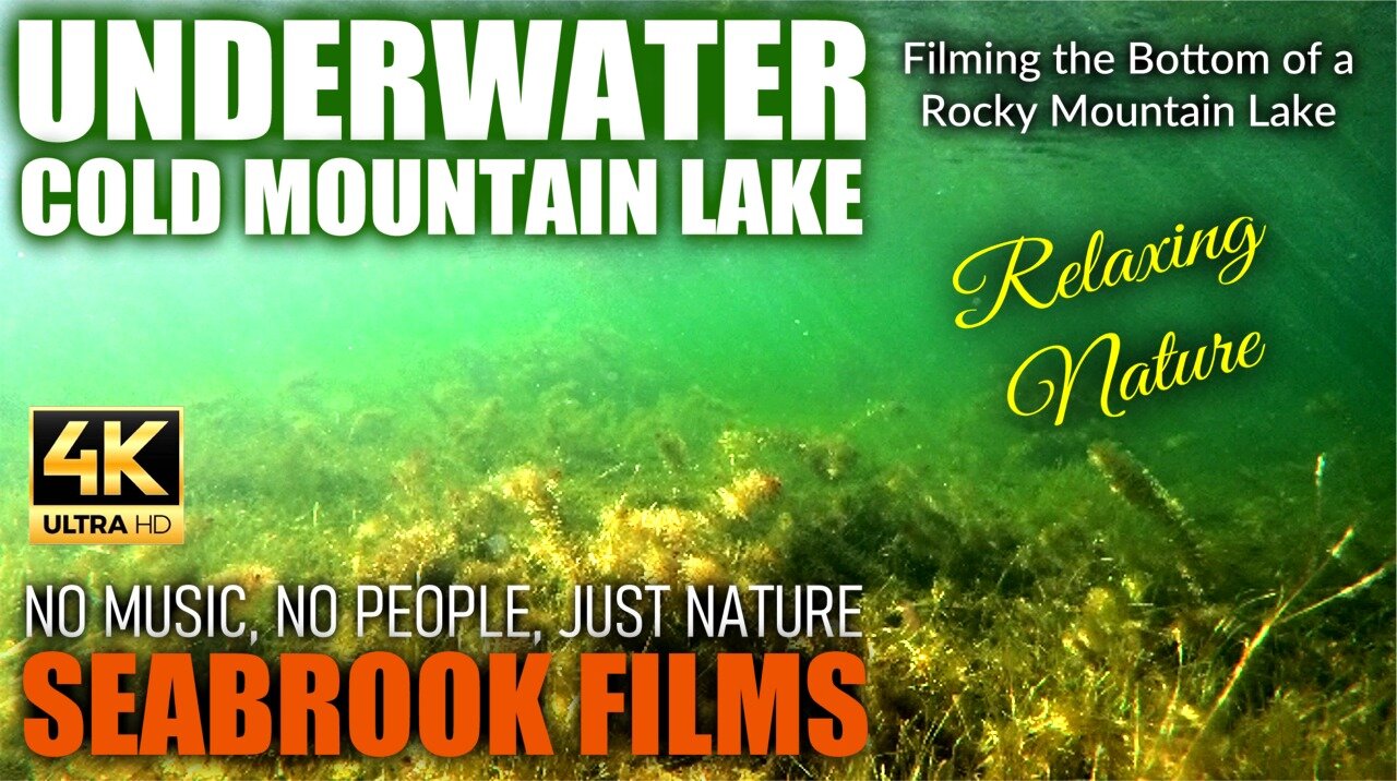 Underwater Cold Mountain Lake: Filming the Bottom of a Rocky Mountain Lake