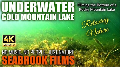 Underwater Cold Mountain Lake: Filming the Bottom of a Rocky Mountain Lake