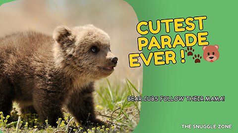 ADORABLE BEAR CUBS FOLLOW MOM 🐾🐻 | Sweet Family Walk in Nature