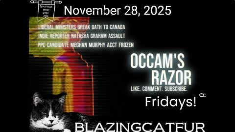 Blazing Cat Fur Fridays - November 28, 2025