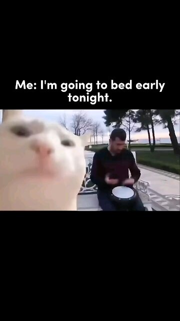 all the time ... 😂