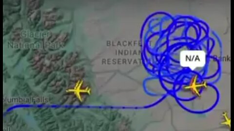 The..Elephant..In..The..Room